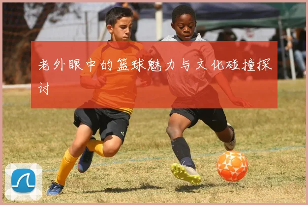 老外眼中的篮球魅力与文化碰撞探讨