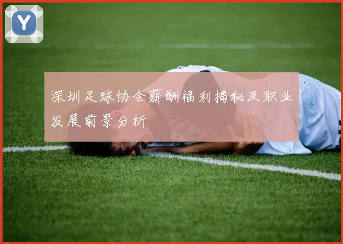 深圳足球协会薪酬福利揭秘及职业发展前景分析